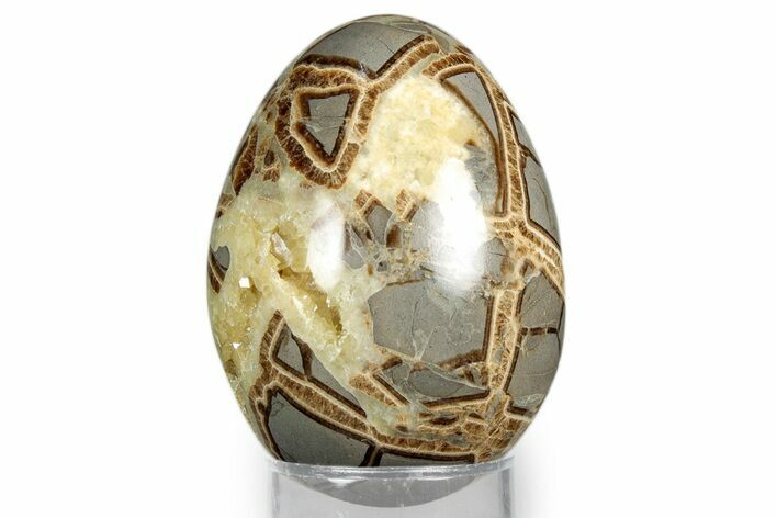 Calcite Crystal Filled Septarian Egg - Utah #344842